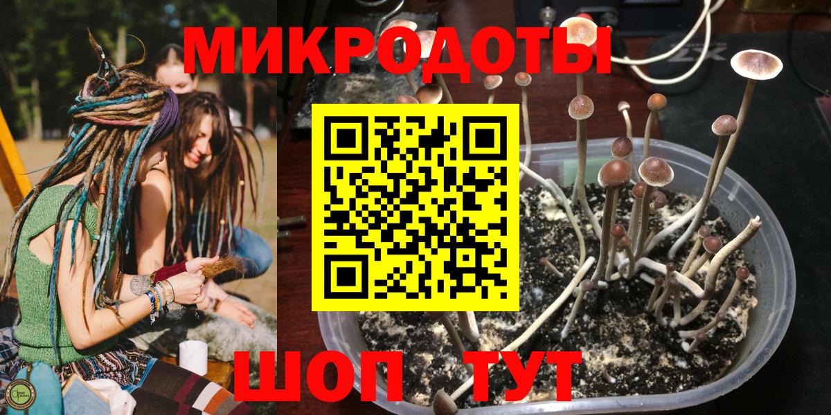 Галлюциногенные грибы MAGIC MUSHROOMS  Вход с VPN  купить закладку  Мирный 