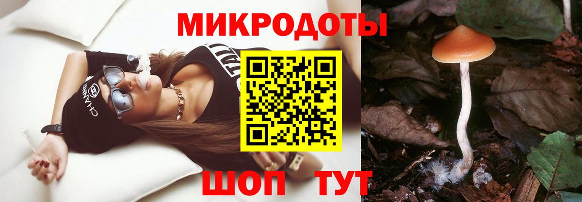 Псилоцибиновые грибы прущие грибы Мирный